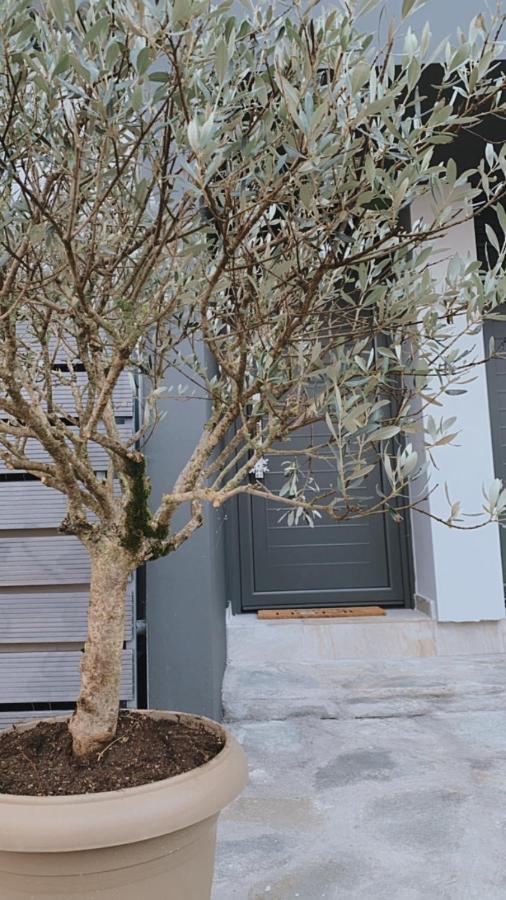 My Home يانينة المظهر الخارجي الصورة